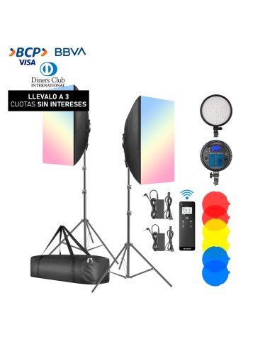 Kit de Iluminacion Neewer NW48 II